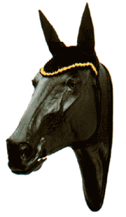 Fliegenhaube mit Biese