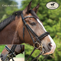 Kieffer Shop Calevo