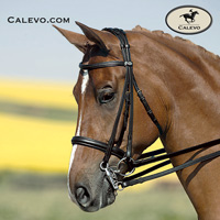 Kieffer Shop Calevo