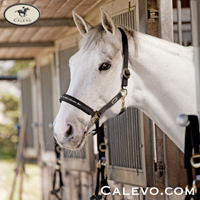 Eskadron Shop Calevo