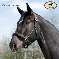 Kieffer Shop Calevo