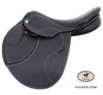 PhilippeFontaine -- CALEVO.com Shop
