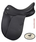 PhilippeFontaine -- CALEVO.com Shop