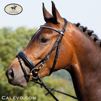 Kieffer -- CALEVO.com Shop