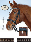 Kieffer -- CALEVO.com Shop