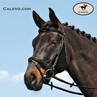 Kieffer -- CALEVO.com Shop