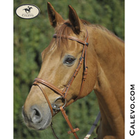Stuebben -- CALEVO.com Shop
