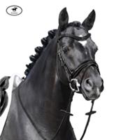 Passier -- CALEVO.com Shop
