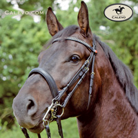 Kieffer -- CALEVO.com Shop