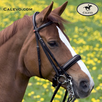 Kieffer -- CALEVO.com Shop