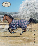 Eskadron -- CALEVO.com Shop