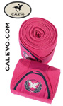 Eurostar -- CALEVO.com Shop