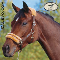 Eskadron -- CALEVO.com Shop