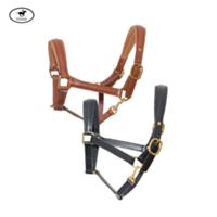 Schumacher -- CALEVO.com Shop