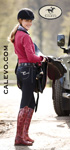 euro-star -- CALEVO.com Shop