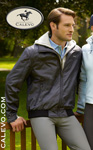 Pikeur -- CALEVO.com Shop