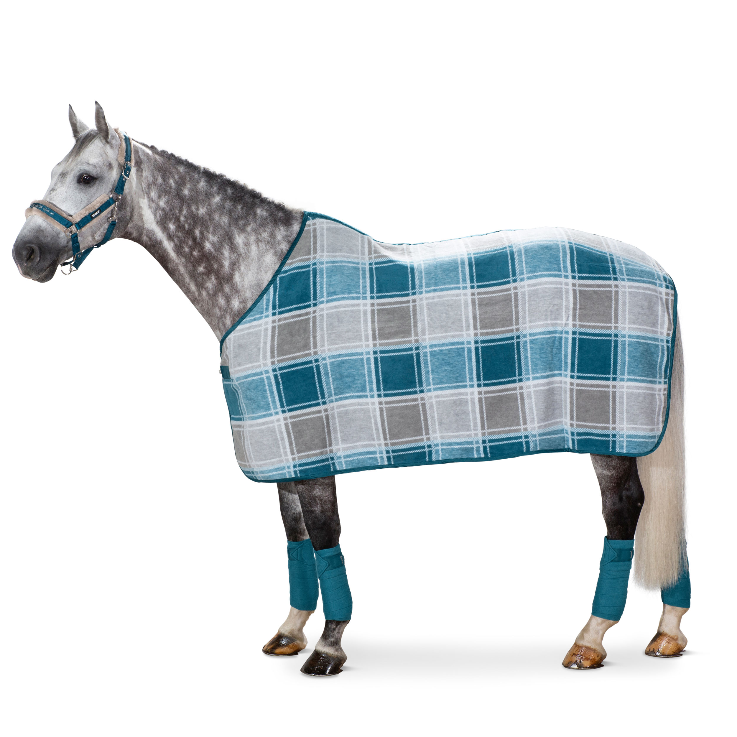 Eskadron Sweat Rug Dralon Check Classic Sports Eur 90 Calevo Com