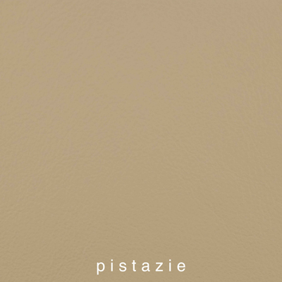 Genickpolsterfarbe_1060412IND-35