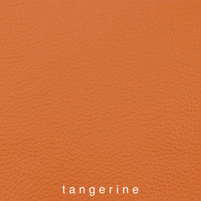 Genickpolsterfarbe_1060412IND-48
