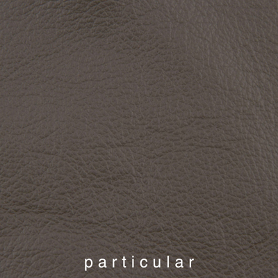 Genickpolsterfarbe_1060413IND-27