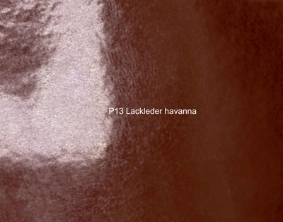 Nasenriemen-Leder_1060412IND-11