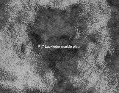 Nasenriemen-Leder_1060412IND-13