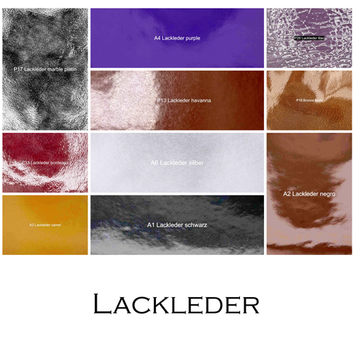 Nasenriemen-Leder_1060425IND-2