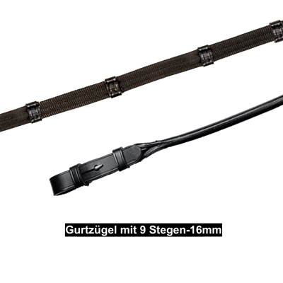 Zugel-Trense_1050412IND-4
