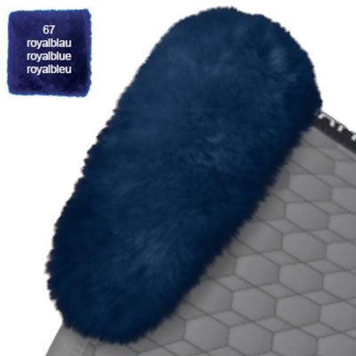 lffb_1020250x-royalblue67