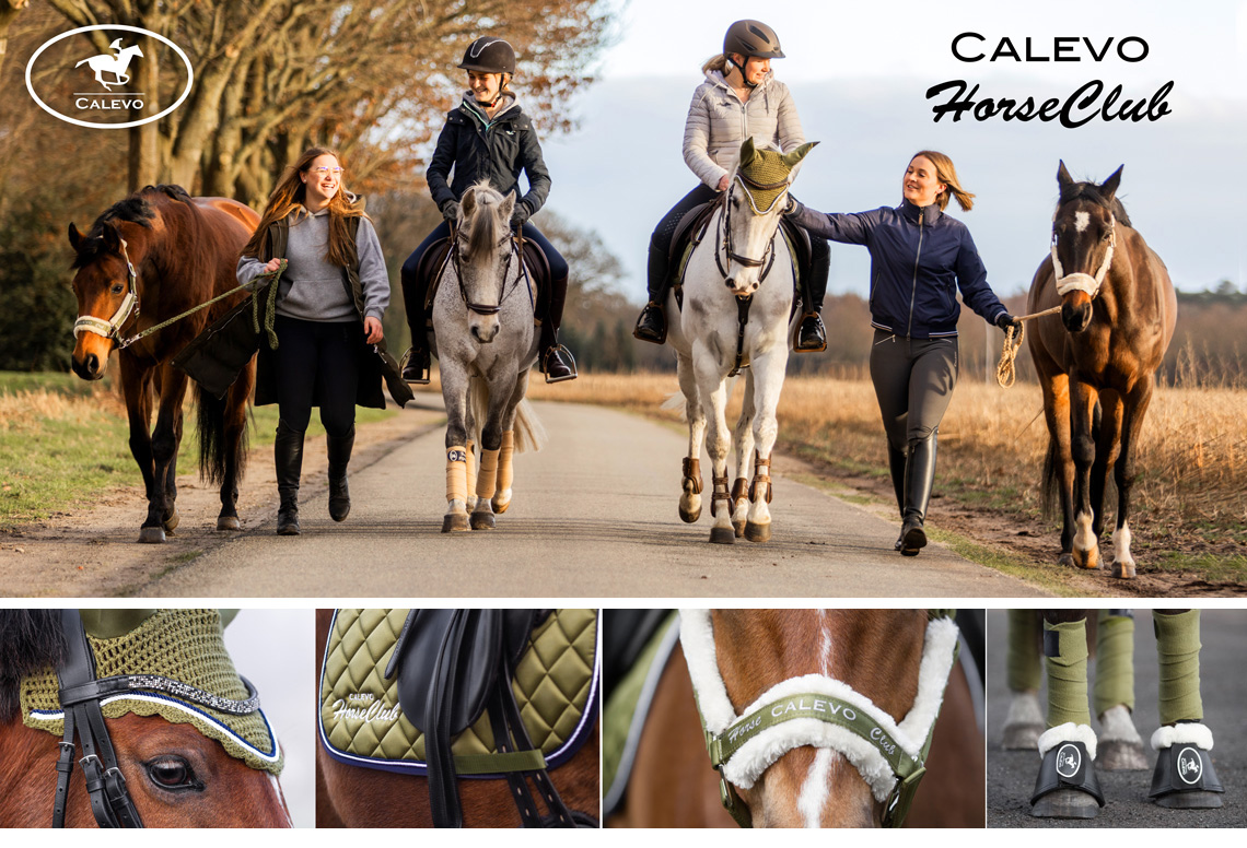 calevohorseclub