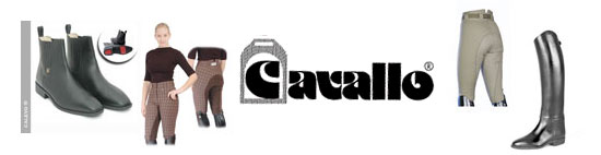 cavallo