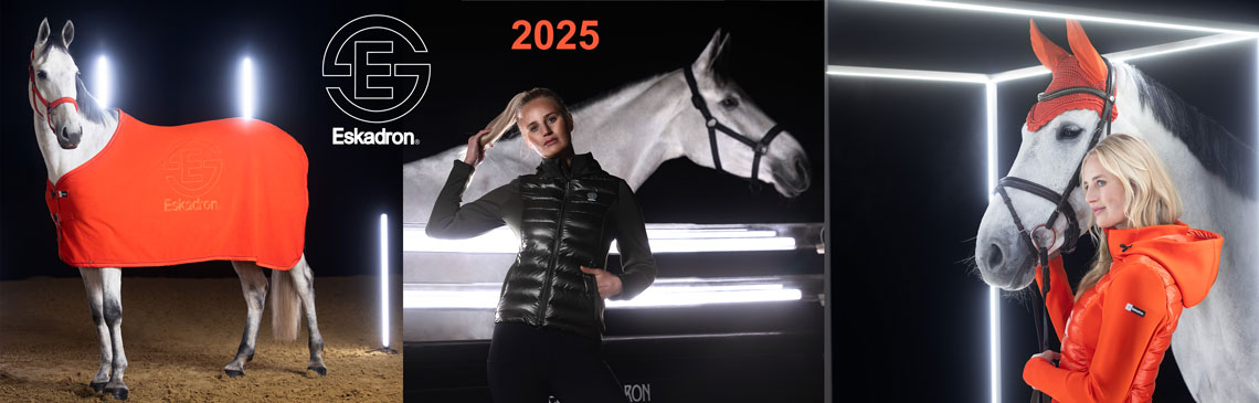 dynamic2025