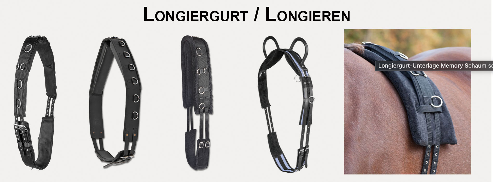 longiergurt