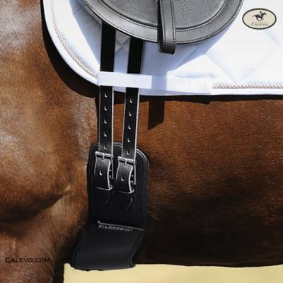 Passier - leather dressage girth 