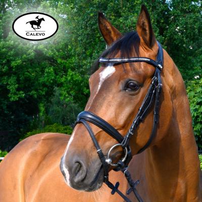 Calevo - snaffle bridle EXTRA SOFT CALEVO.com Shop