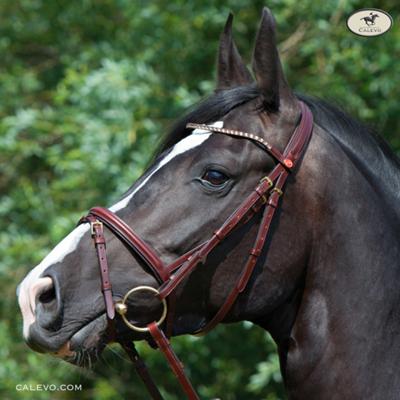 Kieffer - snaffle bridle AREZZO CALEVO.com Shop