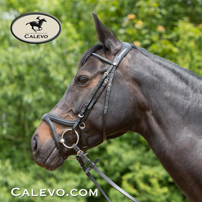 Kieffer - snaffle bridle ULTRA SOFT TARA CALEVO.com Shop