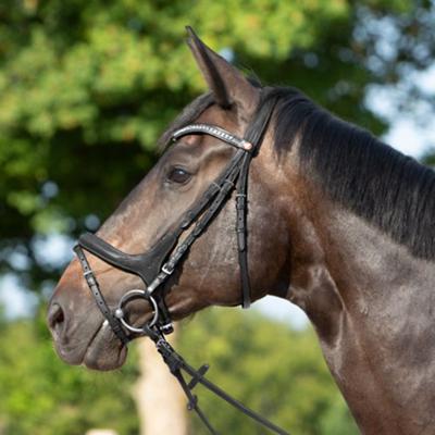 Kieffer - snaffle bridle ULTRASOFT CELIA CALEVO.com Shop