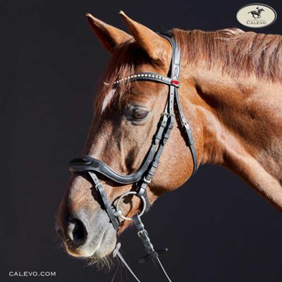 Kieffer - snaffle bridle Softtech Line ANOUK CALEVO.com Shop