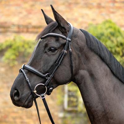 Passier - Snaffle Bridle BALANCE CALEVO.com Shop