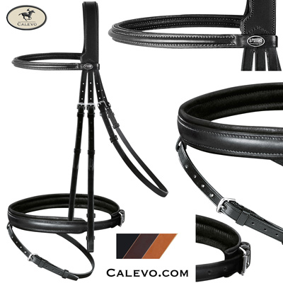 Passier - snaffle bridle PHOENIX CALEVO.com Shop