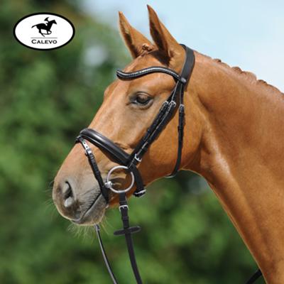 Passier - snaffle bridle JUNO CALEVO.com Shop