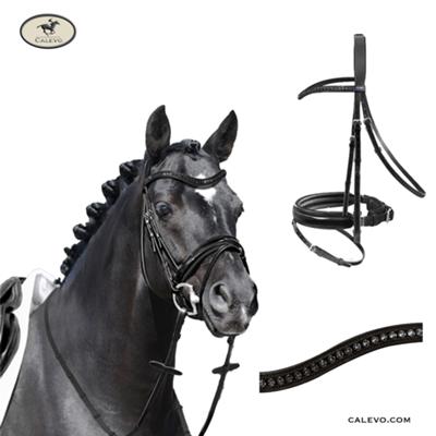 Passier - Snaffle Bridle APOLLO CALEVO.com Shop