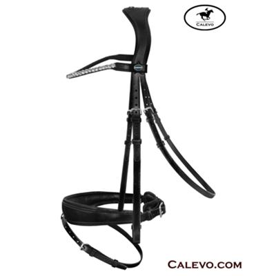 Passier - snaffle bridle FAVORITE by INGRID KLIMKE CALEVO.com Shop