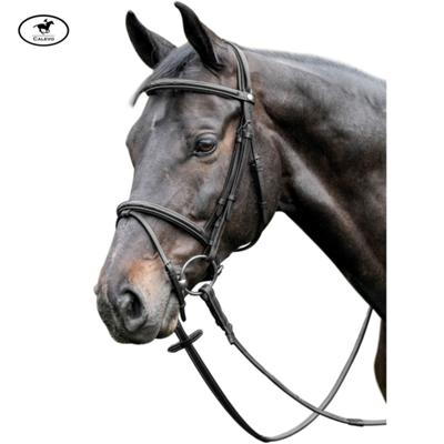 Prestige - Trensenzaum mit Ziern�hten E037 -- CALEVO.com Shop