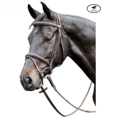 Prestige - snaffle bridle with stitching E037 CALEVO.com Shop