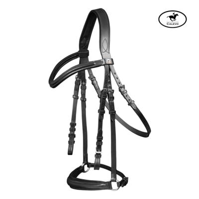 Waldhausen - standard bridle HANNOVER CALEVO.com Shop