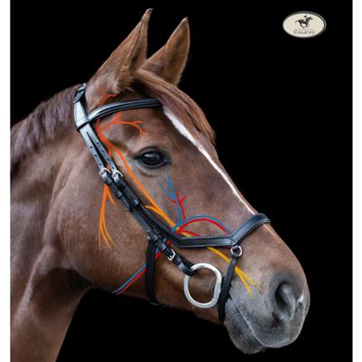 Waldhausen - snaffle bridle RELAXATION CALEVO.com Shop