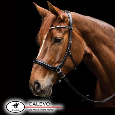 Waldhausen - bridle BITLESS SENSATION CALEVO.com Shop