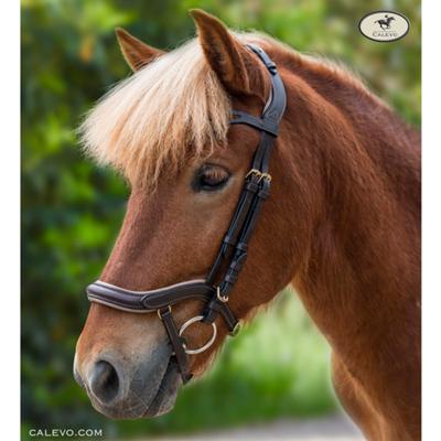 Waldhausen - Icelandic bridle ANATOMIC CALEVO.com Shop